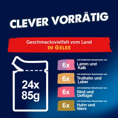 Felix "Doppelt lecker - so gut wie es aussieht" Pouches 24 x 85 g - Rind & Geflügel, Lamm & Kalb, Huhn & Niere, Truthahn & Leber Felix "Doppelt lecker - so gut wie es aussieht" Pouches 24 x 85 g - Rind & Geflügel, Lamm & Kalb, Huhn & Niere, Truthahn & Leber