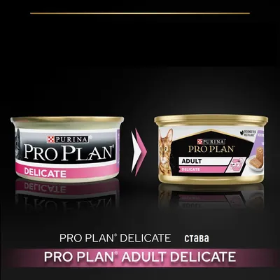 Преход от PURINA PRO PLAN DELICATE към PURINA PRO PLAN ADULT DELICATE, показани две опаковки котешка храна с нов дизайн и текст: PRO PLAN DELICATE става PRO PLAN ADULT DELICATE.