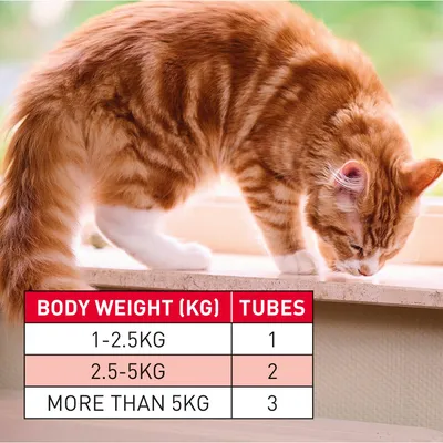 Dosage table: body weight 1-2.5kg, 1 tube; 2.5-5kg, 2 tubes; more than 5kg, 3 tubes.