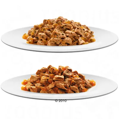 Twee witte borden met stukjes natvoer in saus, verschillend van kleur en textuur, geschikt voor vergelijking van katten- of hondenvoer.