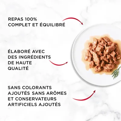Repas 100 % complet et équilibré, élaboré avec des ingrédients de haute qualité, sans colorants, arômes ni conservateurs artificiels ajoutés. Texte en français belge.