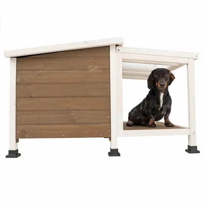 Niche pour chien en bois avec toit incliné, un teckel assis à l'intérieur sur le plancher. Pieds surélevés visibles, structure bicolore bois naturel et blanc.