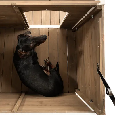 Chien noir allongé à l’intérieur d’une niche en bois vue de dessus, plancher et parois en bois visibles, ouverture rectangulaire sur le côté.