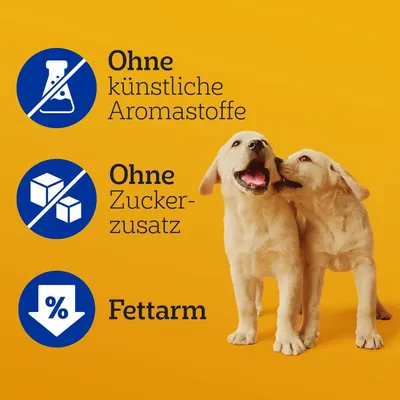 Ohne künstliche Aromastoffe, ohne Zuckerzusatz, fettarm. Zwei Labrador-Welpen vor gelbem Hintergrund.