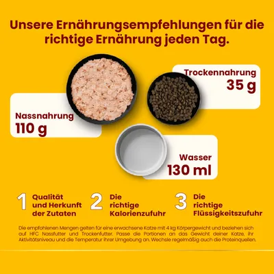 Ernährungsempfehlung für Katzen: Nassnahrung 110 g, Trockennahrung 35 g, Wasser 130 ml. Hinweise zu Qualität, Kalorienzufuhr und Flüssigkeitszufuhr für eine ausgewachsene Katze mit 4 kg Gewicht.