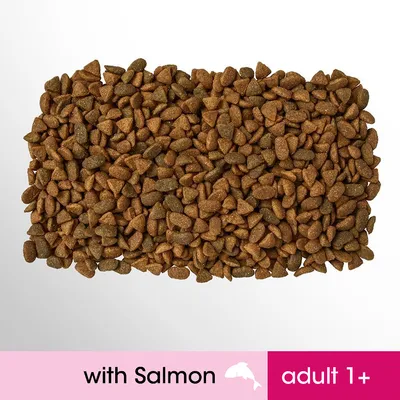 Dry pet food kibble, visible text: with Salmon, adult 1+
