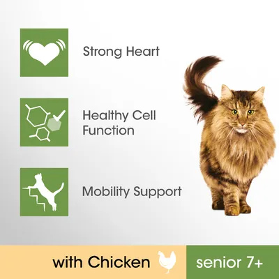 Tekst in beeld: Strong Heart, Healthy Cell Function, Mobility Support, with Chicken, senior 7+. Afbeelding van een langharige kat. Tekst deels in het Engels.