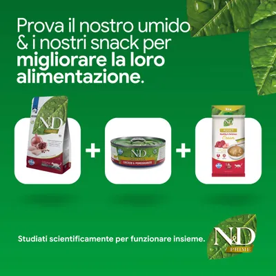 N&D Prime crocchette, alimento umido Chicken & Pomegranate e snack cream adult. Sviluppato per migliorare la nutrizione. Progettato scientificamente per un effetto sinergico. N&D Prime crocchette, alimento umido Chicken & Pomegranate e snack cream adult. Sviluppato per migliorare la nutrizione. Progettato scientificamente per un effetto sinergico.