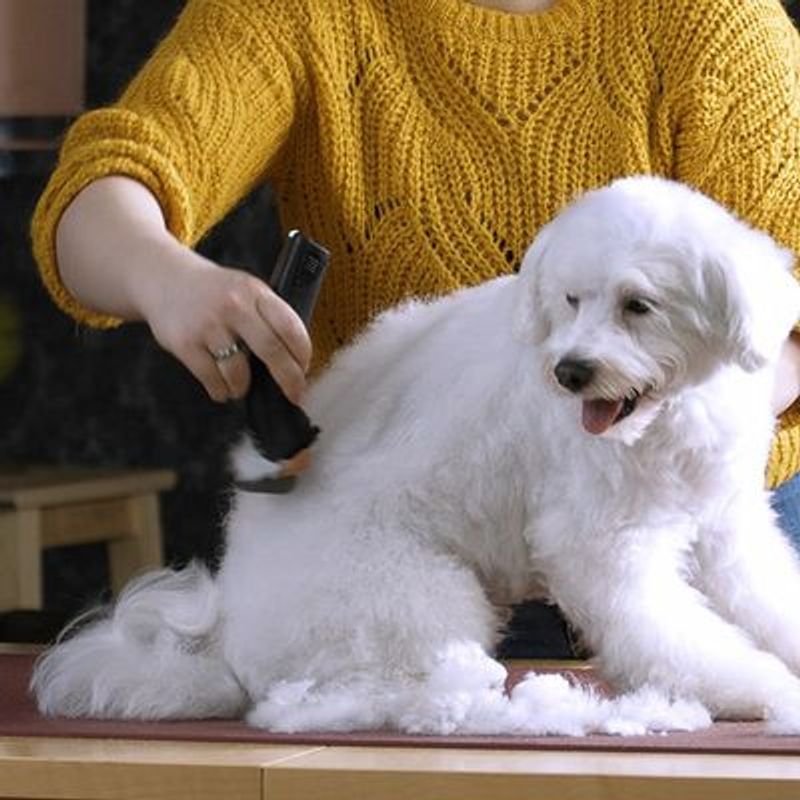Moser Arco Pro WAHL® Tondeuse