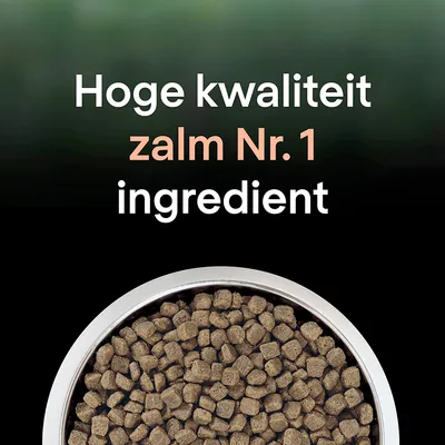 Hoge kwaliteit zalm Nr. 1 ingrediënt