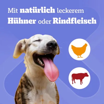 Pedigree Dentastix: každodenná starostlivosť o zuby pre veľkých psov (>25 kg) - multibalenie 28 ks (1,08 kg) Pedigree Dentastix: každodenná starostlivosť o zuby pre veľkých psov (>25 kg) - multibalenie 28 ks (1,08 kg)