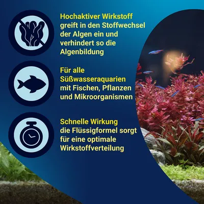 Tetra AlguMin Anti-Algen-Mittel