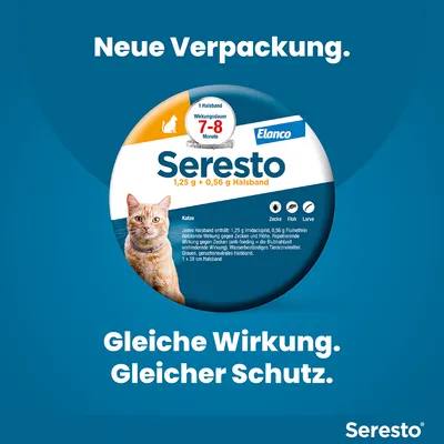 Seresto Halsband für Katzen, neue Verpackung. Wirkungsdauer 7-8 Monate gegen Zecken, Flöhe und Larven. Wasserbeständiges Tierarzneimittel, geruchsneutral. Gleiche Wirkung, gleicher Schutz.