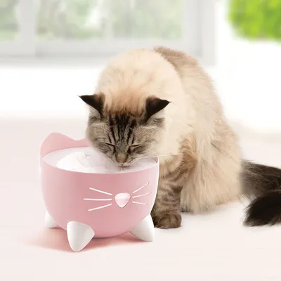 Katze trinkt aus einem rosa Trinkbrunnen mit Katzenmotiv und weissen Füssen. Produkt zeigt Funktion als Haustier-Trinkstation.