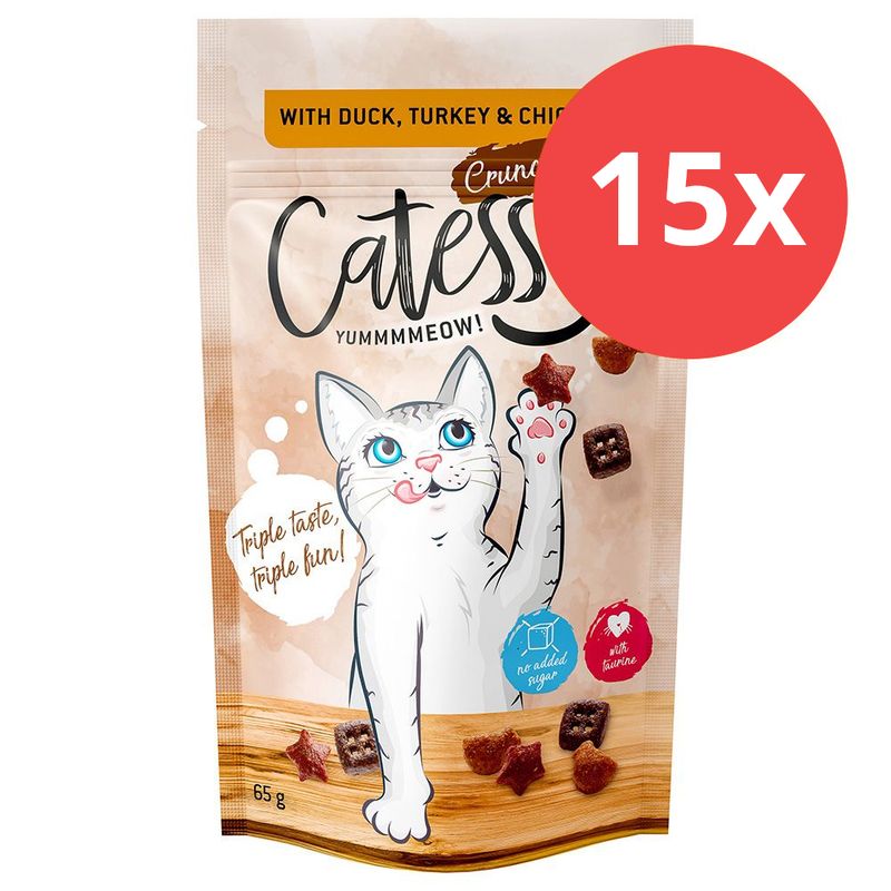 Sparpaket Catessy Knuspersnacks 15 x 65 g