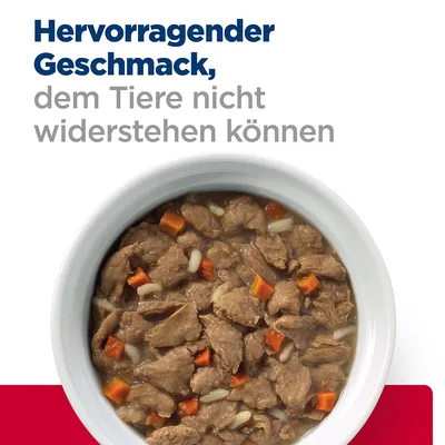 Hervorragender Geschmack, dem Tiere nicht widerstehen können. Schüssel mit Fleischstücken, Karotten und Reis in Sosse.