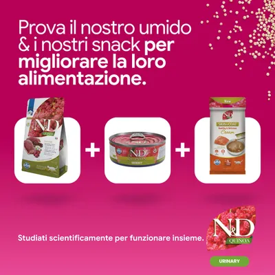 N&D Quinoa Urinary crocchette, alimento umido e skin & coat cream snack. Sviluppato scientificamente per agire insieme. Per una migliore alimentazione. N&D Quinoa Urinary crocchette, alimento umido e skin & coat cream snack. Sviluppato scientificamente per agire insieme. Per una migliore alimentazione.