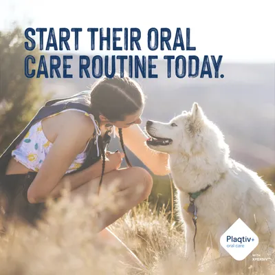 Text in the image: START THEIR ORAL CARE ROUTINE TODAY. Plaqtiv+ oral care with Xpersiv. Text in the image: START THEIR ORAL CARE ROUTINE TODAY. Plaqtiv+ oral care with Xpersiv.