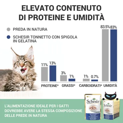 Grafico comparativo: Schesir Tonnetto con Spigola in Gelatina vs preda in natura. Proteine 13%/11%, grassi 1%/3%, carboidrati 0,7%/1%, umidità 83%/83,5%. Testo e confezioni visibili.