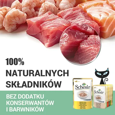 Schesir. 100% naturalnych składników. Bez dodatku konserwantów i barwników. Opakowania karmy dla kotów, kawałki ryby i krewetek.
