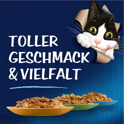 Toller Geschmack & Vielfalt. Drei bunte Schalen mit verschiedenen Sorten Nassfutter, daneben eine gezeichnete schwarz-weiße Katze.
