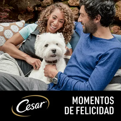 Perro blanco sentado entre dos personas, texto visible: Cesar Momentos de felicidad.
