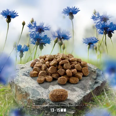 Dry pet food kibble pieces displayed on a rock with a size indicator showing 13–15mm diameter.