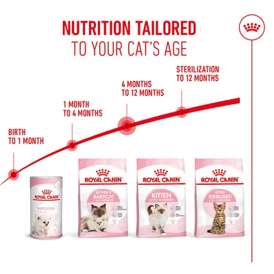 Royal Canin products for different life stages: Babycat Milk 0–2 months, Mother & Babycat 1–4 months, Kitten up to 12 months, Kitten Sterilised 6–12 months.