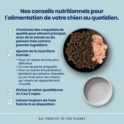 Almo Nature Adult Large, agneau & riz