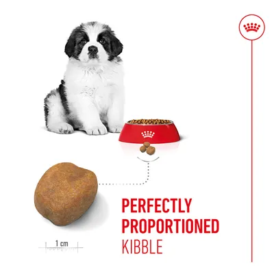 Close-up of a piece of dry food with scale, dog and food bowl. Text: Perfectly proportioned kibble. Close-up of a piece of dry food with scale, dog and food bowl. Text: Perfectly proportioned kibble.
