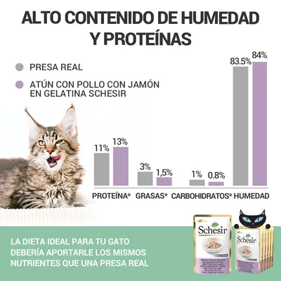 Comparativa de nutrientes: presa real vs. atún con pollo y jamón en gelatina Schesir. Proteína 11%/13%, grasas 3%/1,5%, carbohidratos 1%/0,8%, humedad 83,5%/84%.