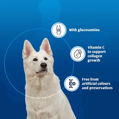 8in1 Vitality Glukosamin tabletter