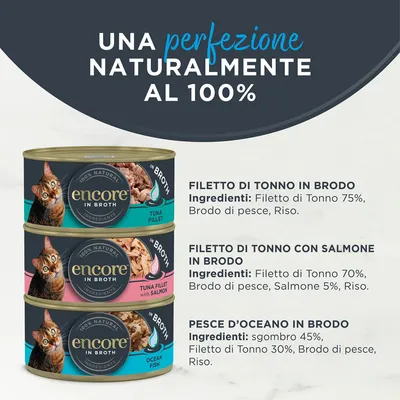 Encore in lattina 48 x 70 g Umido gatto
