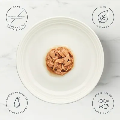 Lot mixte Encore en sauce 5 x 50 g sachets pour chat