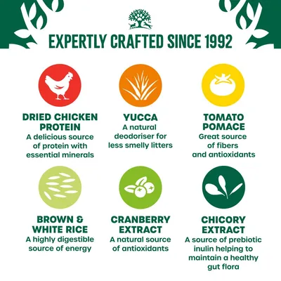 Key ingredients: dried chicken protein, yucca, tomato pomace, brown and white rice, cranberry extract, chicory extract. Includes benefits such as protein, antioxidants, energy, and gut health.