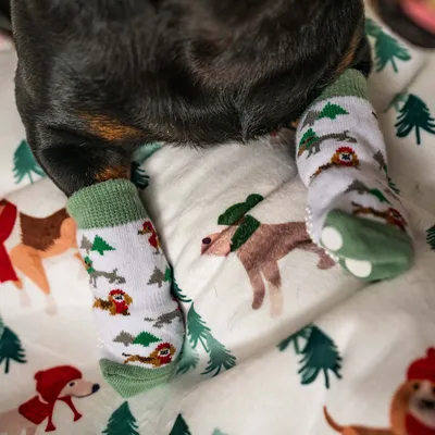 Hundtassar med gröna strumpor dekorerade med julmotiv som granar och renar. Ligger på en filt med hundmotiv.