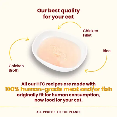 Chicken fillet, rice and chicken broth in a bowl. All HFC recipes use 100% human-grade meat and/or fish, originally fit for human consumption, now food for your cat.