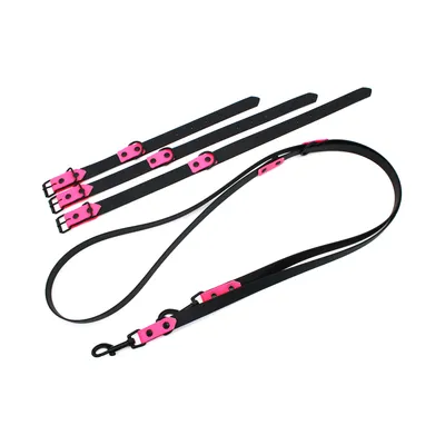 Schwarze Hundeleine mit pinken Schnallen und verstellbaren Halsbändern in verschiedenen Grössen.