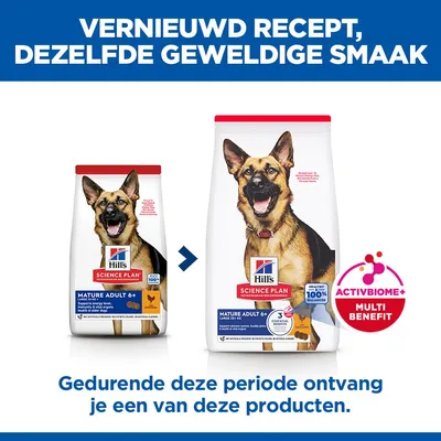 Hill's Science Plan Mature Adult 6+ Large poulet pour chien