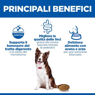 Hill's Science Plan Adult Perfect Digestion con Pollo umido cane