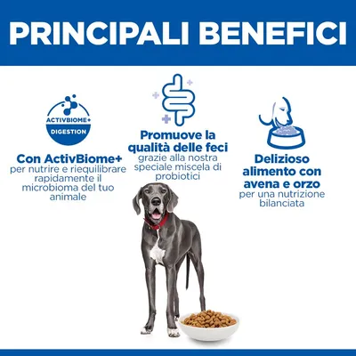 Hill's Science Plan Perfect Digestion Adult Large con Pollo e Riso