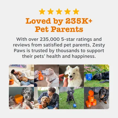 Več kot 235.000 petzvezdičnih ocen lastnikov hišnih ljubljenčkov za Zesty Paws, podpira zdravje in dobro počutje hišnih ljubljenčkov.