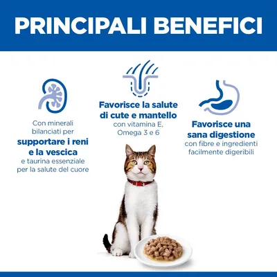 Vantaggi principali: supporta reni e vescica, favorisce la salute di pelle e pelo con vitamina E, Omega 3 e 6, sostiene una digestione sana con componenti facilmente digeribili.