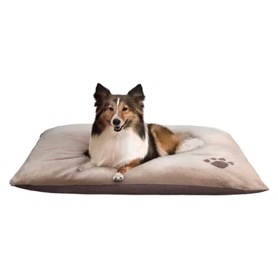 Coussin rectangulaire en tissu beige avec motif patte, chien de taille moyenne allongé dessus. Coussin posé sur fond blanc, sans autres éléments visibles.