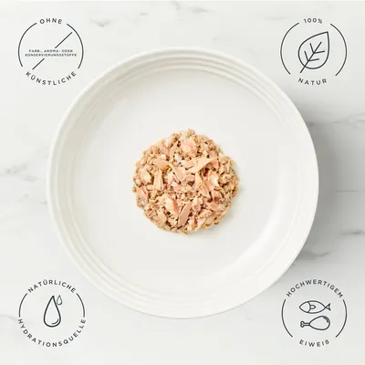 Encore Dose 16 x 70 g