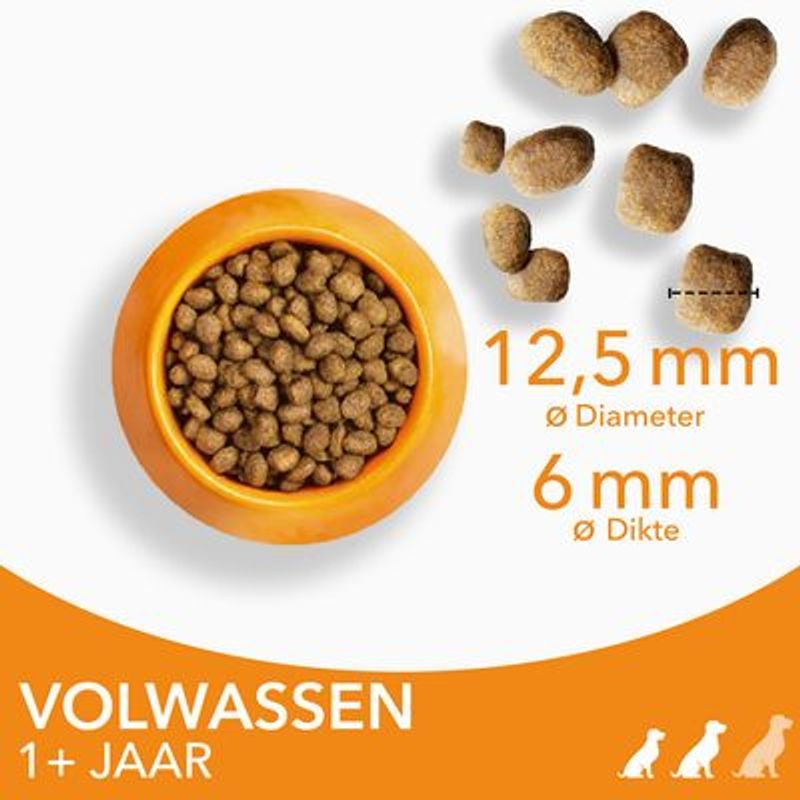 IAMS Advanced Nutrition Adult Small & Medium Dog met Kip Hondenvoer