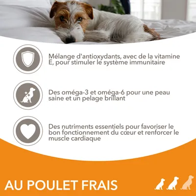 Mélange d'antioxydants avec vitamine E, oméga-3 et oméga-6, nutriments essentiels pour le cœur. Texte : AU POULET FRAIS.