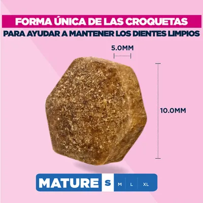 Eukanuba Premium Nutrition Mature Small Breed pollo