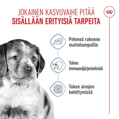 Grafiikka, jossa on kolme kohtaa: Pehmeä koostumus maitohampaille, tukee immuunijärjestelmää, tukee aivojen kehitystä. Teksti suomeksi. Grafiikka, jossa on kolme kohtaa: Pehmeä koostumus maitohampaille, tukee immuunijärjestelmää, tukee aivojen kehitystä. Teksti suomeksi.