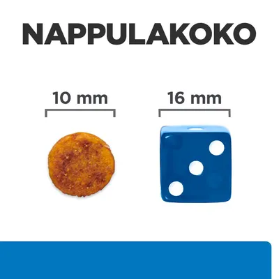 Nappulakoko: vasemmalla nappula 10 mm, oikealla sininen noppa 16 mm vertailun vuoksi. Teksti 'NAPPULAKOKO' ylhäällä.